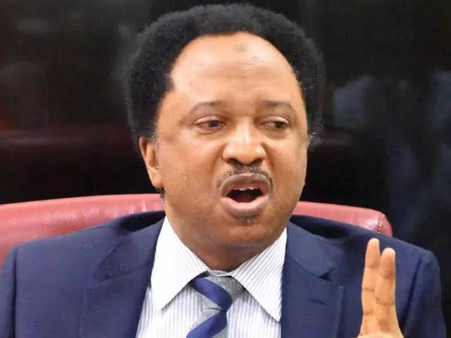 I Hope Those Who Said Defection Means Nothing Will Accept Bauchi and Oyo Gov When It Happens?—Sani